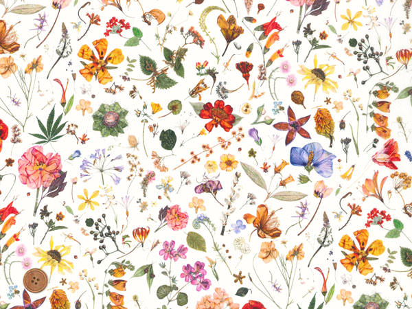 リバティプリント タナローン生地 国産定番柄 Floral Eve 3189-Dの商品画像